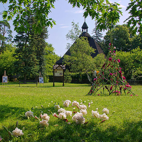 Zielona Szkoła Spała